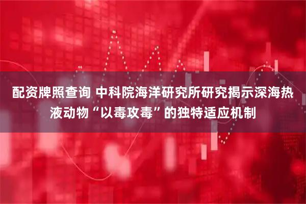 配资牌照查询 中科院海洋研究所研究揭示深海热液动物“以毒攻毒”的独特适应机制